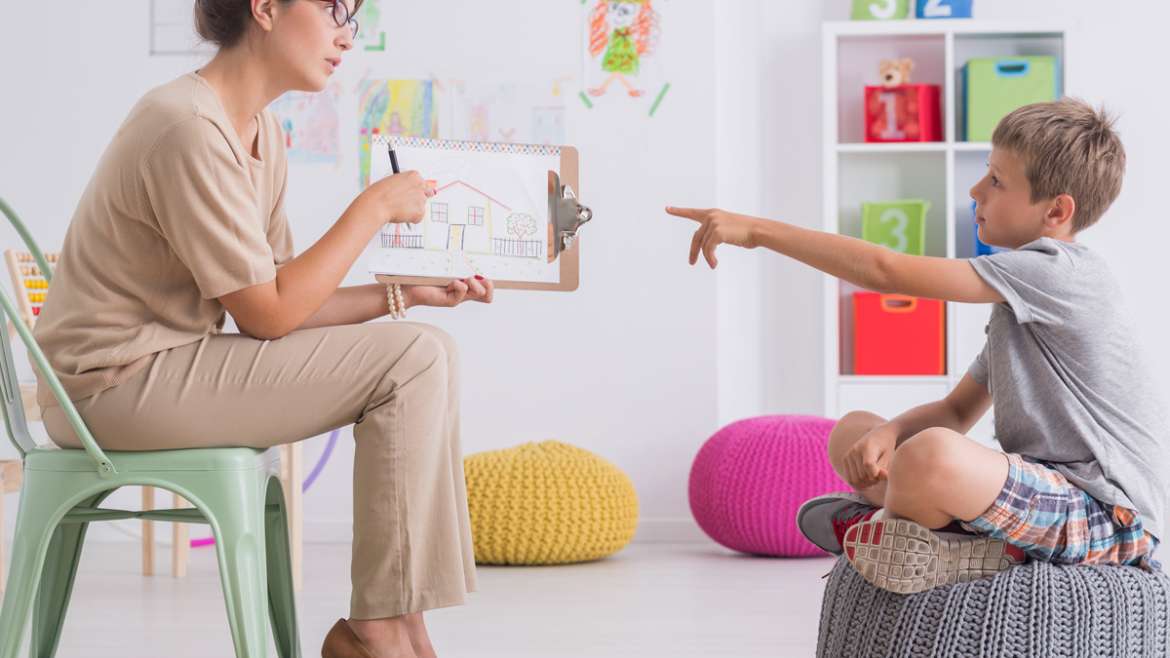 Behavioral Consultant Services